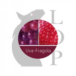 UVA FRAGOLA - AROMA CONCENTRATO - LOP 10 ML 2rshop.it svapo